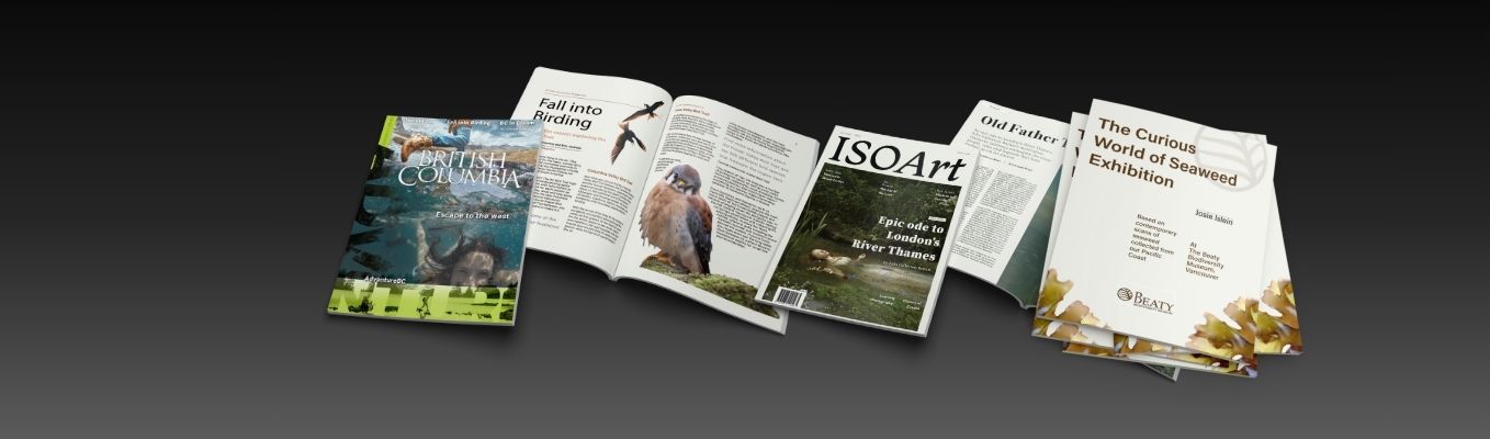 Personal passion projects